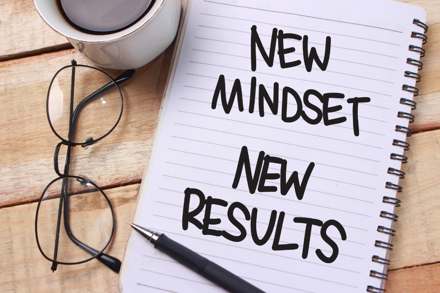 The Great Startup Debate: Business Owner vs Entrepreneur. Which Persona Resides Within You? 2 mindset