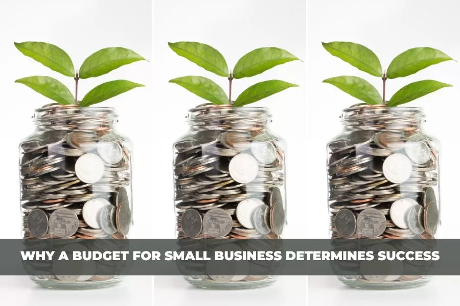 Why Developing a Budget for Small Business Determines Success: Plus 5 Vital Steps to Manage One Now Before it's Too Late. 43 budget for small business