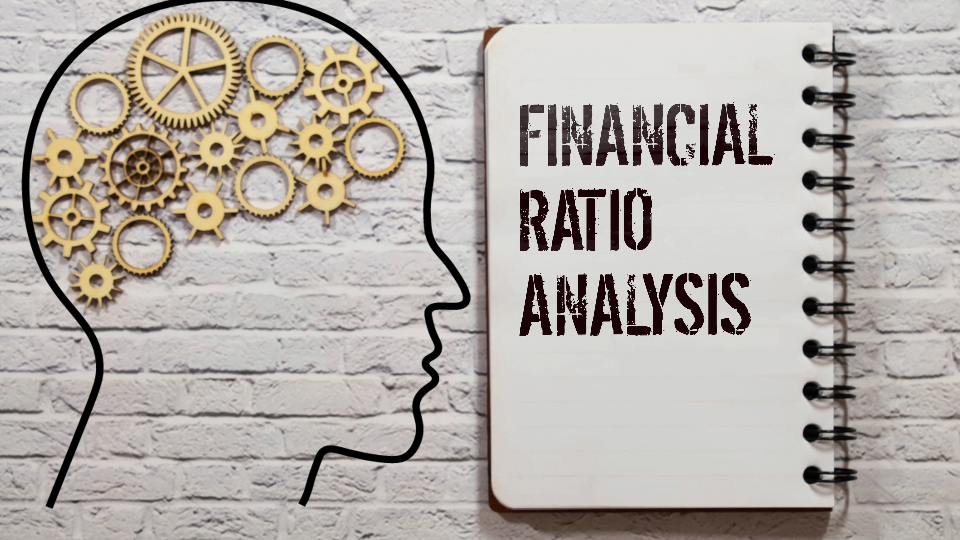 financial ratios
